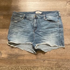 Torrid Jean Shorts